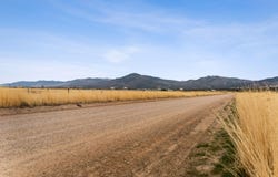 1565 W Sunflower Ln, Fillmore, UT 84631
