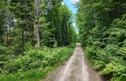 905 Gideons Mill Road, Brighton, VT 05846