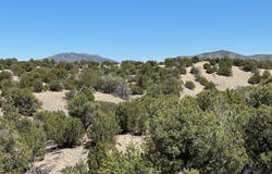 62 Turquoise Drive, Sandia Park, NM 87047