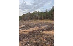 CR 442, PARIS, MS 38949