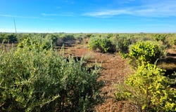 Lane 6N, Mosca, CO 81146