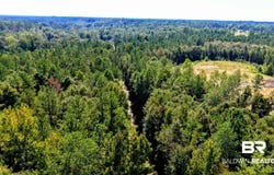 Pheasant Road, Gilbertown, AL 36908