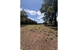 208 Pine Drive, Hodges, SC 29653