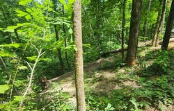 730 Lakeview Trail, HOLLADAY, TN 38341