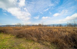 Oak St & River Rd, Newburgh, NY 12550