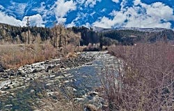 Beaver Creek Rd, South Fork, CO 81154