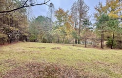 CO RD 62, Haleyville, AL 35565