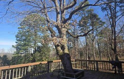 175 Melgie Ridge Rd, Drasco, AR 72530