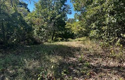 21871 Co Rd 525, Bloomfield, MO 63825