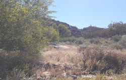 Crazy Horse, Aguanga, CA 92536