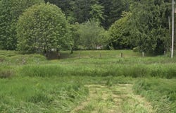10195 SWEET CREEK Rd, Mapleton, OR 97453