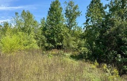 Tract 5 Private Rd 8385, Spurger, TX 77660