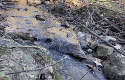 TBD Riddle Br Rd, Burnsville, NC 28714