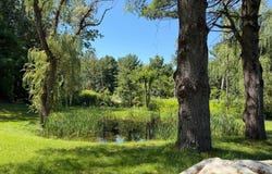 738 County Route 5, East Chatham, NY 12060