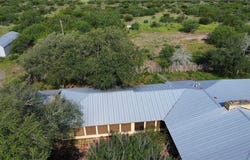 Honey Mesquite, Freer, TX 78357