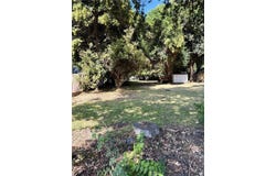 Stewart, Chico, CA 95926