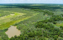 Wells Road, Holliday, TX 76366