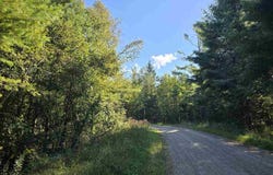 10534 SUNSET, CARP LAKE, MI 49718
