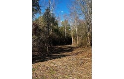 Bellingrath Road, Theodore, AL 36582