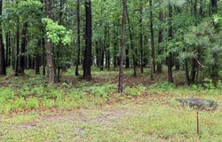 Stillwater Drive, Belhaven, NC 27810