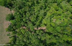 Cove Point Rd, LaFollette, TN 37766