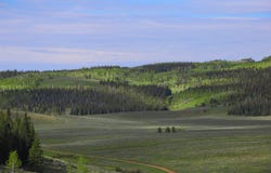 TBD County Road 225, Toponas, CO 80479