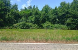 FM 990, Simms, TX 75574
