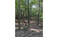 Pleasant Hill, Eufaula, AL 36027