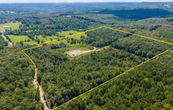 Long Branch Lane, Bee Branch, AR 72013