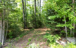 River Road lot: 5, Maxfield, ME 04453