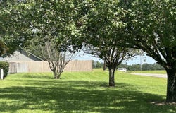 24 Rachel Lane, Hokes Bluff, AL 35905