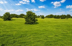 TBD L2 Pine Acres, Whitney, TX 76692