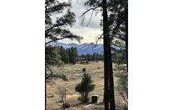 46 Marmot Drive, Ridgway, CO 81432