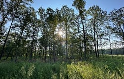 Co Rd 3440, Mountain View, MO 65548