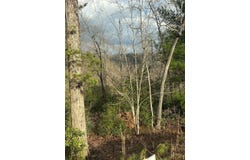Turquoise Ridge lot: 19, Blue Ridge, GA 30513
