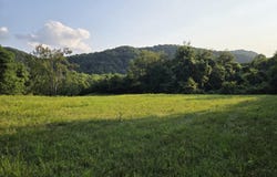 2673 Raines Rd, Wolfcreek, WV 24983