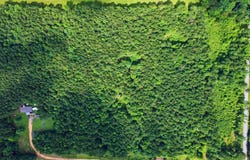 14.13 Acres Grant 18, Grapevine, AR 72057