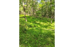 Hill Rd, PARIS, TN 38242