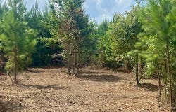 County Line Road, Summit, MS 39666