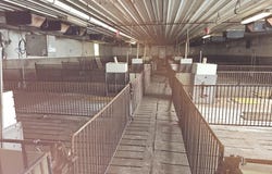 County Rd X, Dewitt, NE 68341