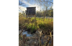 232nd St., Jameson, MO 64647
