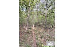 W Clayton Rd, TALCOTT, WV 24981
