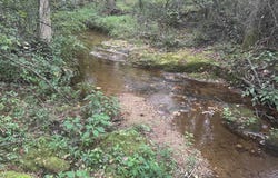 290 Burnetts Road, chesnee, SC 29323