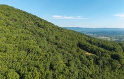 ROUNDHEAD MOUNTAIN RD, STANLEY, VA 22851