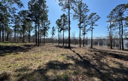 FM 83 lot: 005, Broaddus, TX 75929