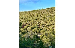 W SENA RANCH Rd, Serafina, NM 87569