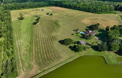 0 Hwy 80, Marion Junction, AL 36759