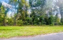 NE 66TH LN lot: 1, BRONSON, FL 32621