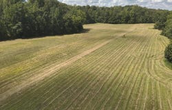 Ms-35, Carrollton, MS 38917