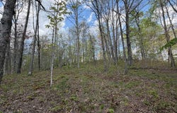 Mound Hill Rd, Wilkesville, OH 45695